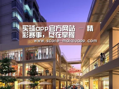 案例展示一(图1)